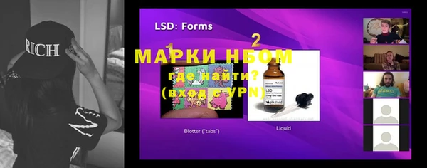 индика Баксан