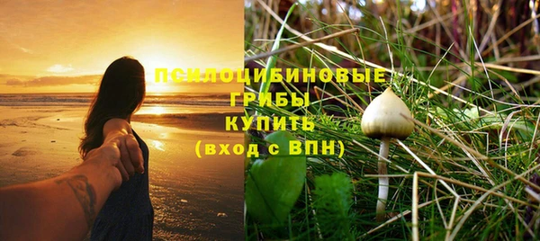 индика Баксан
