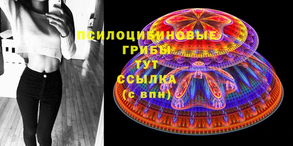 соль ск Балабаново