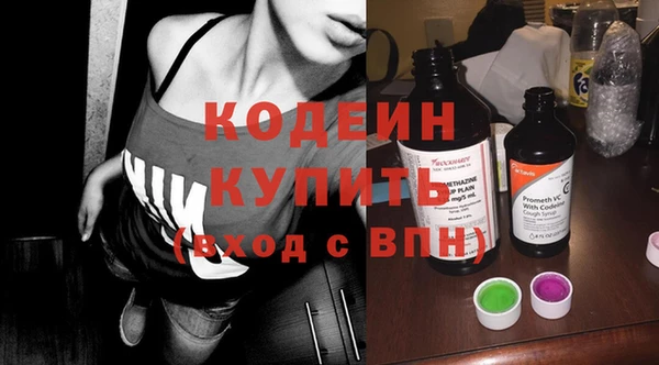 индика Баксан