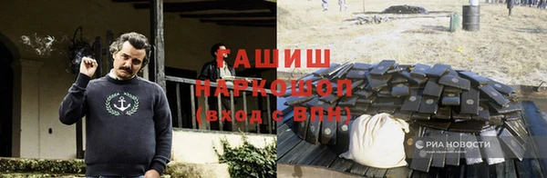 индика Баксан