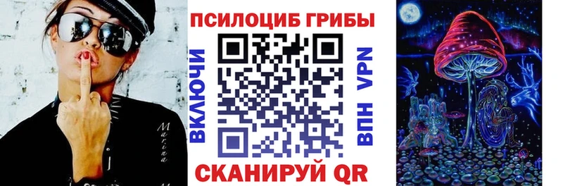 Галлюциногенные грибы Psilocybe Верея