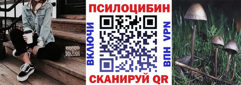 Галлюциногенные грибы Cubensis  площадка клад  Верея 